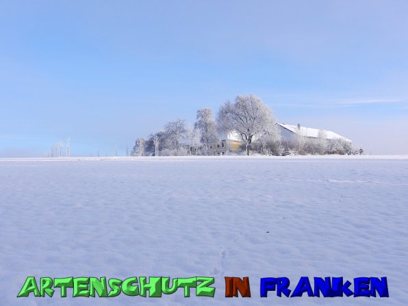 Copyright AiS - Mitterhuber Bild zum Eintrag (52625-160)