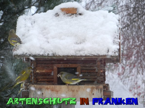 Copyright AiS Mitterhuber Bild zum Eintrag (52627-160)