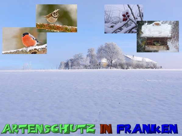 Copyright AiS Mitterhuber / Collage Sanwald Bild zum Eintrag (52630-160)