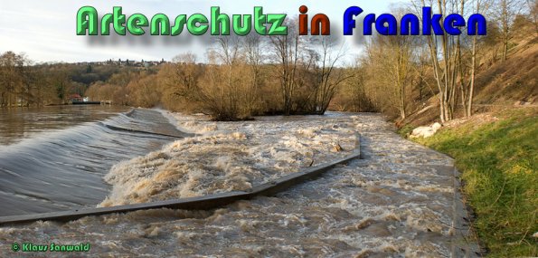 Copyright AiS Klaus Sanwald Bild zum Eintrag (53513-160)