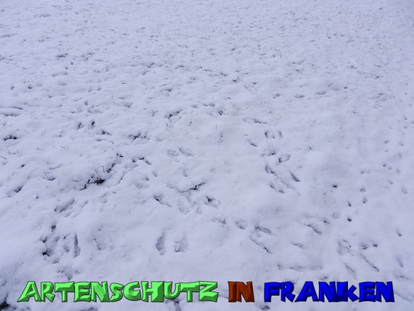 Copyright AiS Mitterhuber Bild zum Eintrag (53974-160)