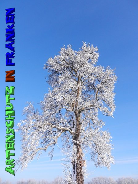 Copyright AiS Mitterhuber Bild zum Eintrag (53975-160)