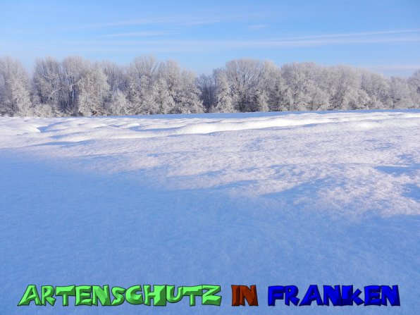 Copyright AiS Mitterhuber Bild zum Eintrag (53976-160)