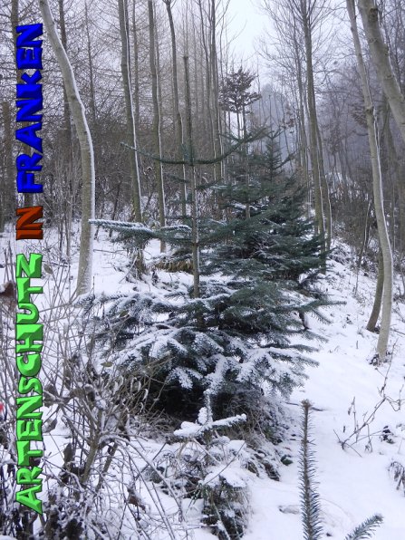 Copyright AiS Mitterhuber Bild zum Eintrag (53977-160)