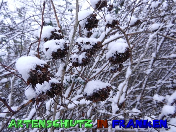 Copyright AiS Mitterhuber Bild zum Eintrag (53978-160)