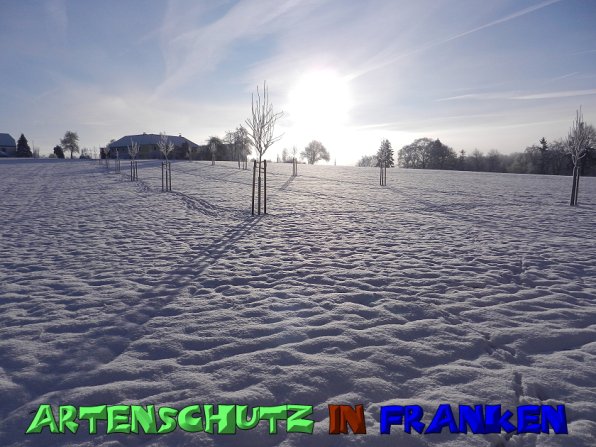 Copyright AiS Mitterhuber Bild zum Eintrag (53988-160)