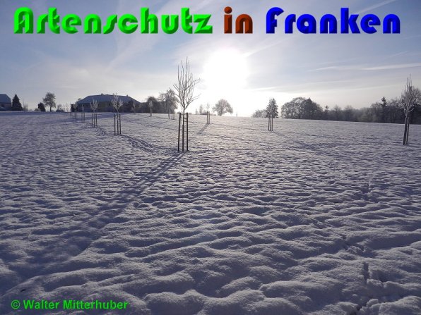 Copyright AiS Mitterhuber Bild zum Eintrag (54113-160)
