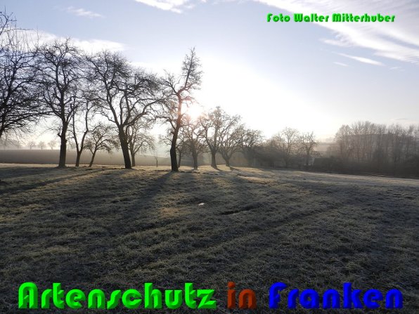 Copyright AiS Mitterhuber Bild zum Eintrag (54122-160)