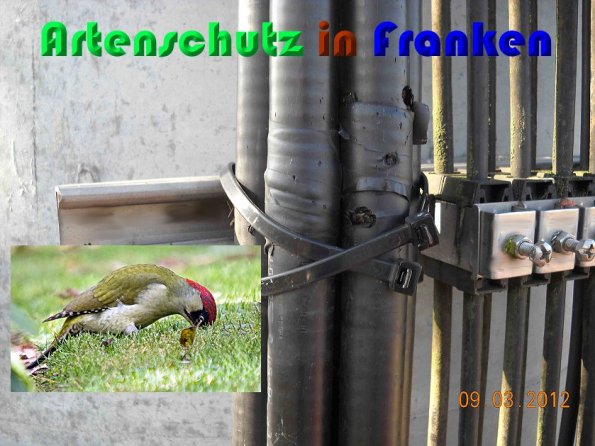 Copyright AiS Collage Sanwald Bild zum Eintrag (54433-160)