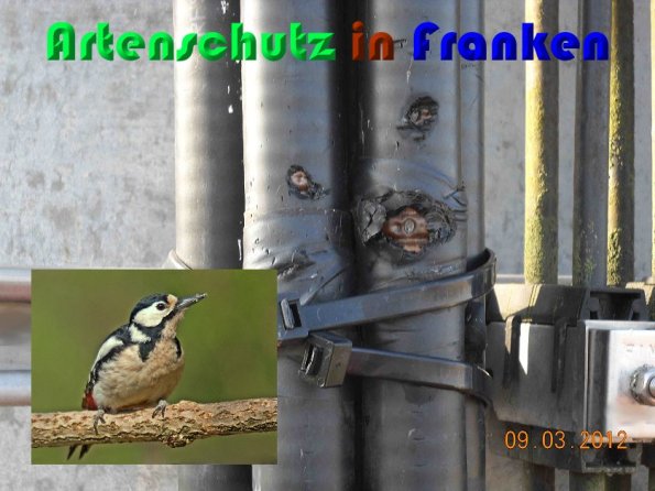 Copyright AiS Mitterhuber / Collage Sanwald Bild zum Eintrag (54434-160)