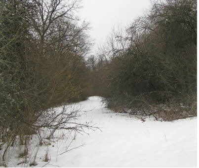 Copyright Fränkischer Tag Hanslok Bild zum Eintrag (54668-160)