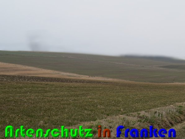 Copyright AiS Zanker Bild zum Eintrag (56235-160)