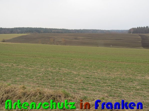 Copyright AiS Zanker Bild zum Eintrag (56236-160)