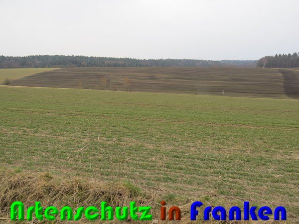 Bild zum Eintrag (56236-160)