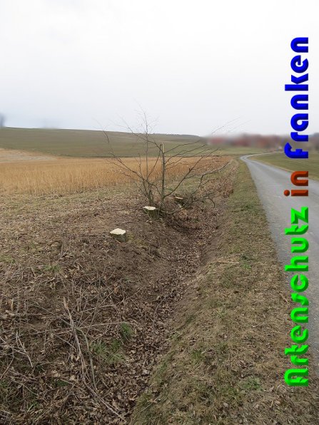 Copyright AiS Zanker Bild zum Eintrag (56237-160)
