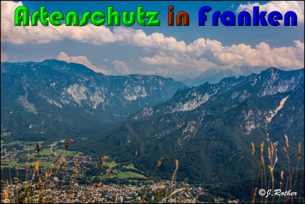 Bild zum Eintrag (61034-160)