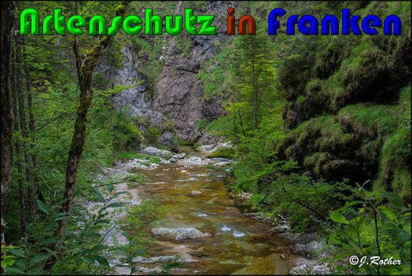 Bild zum Eintrag (61035-160)