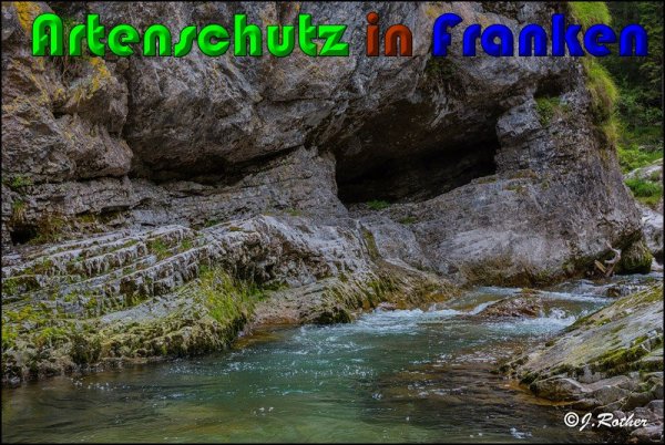 Bild zum Eintrag (61036-160)