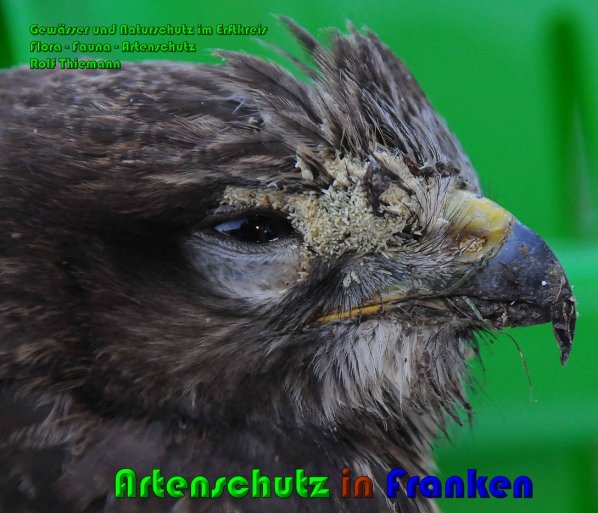 Copyright AiS Rolf Thiemann Bild zum Eintrag (61276-160)