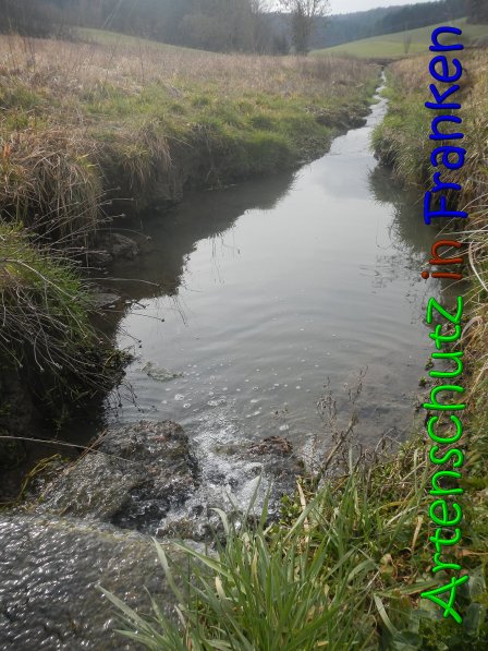 Copyright AiS Klaus Weidner Bild zum Eintrag (63815-160)