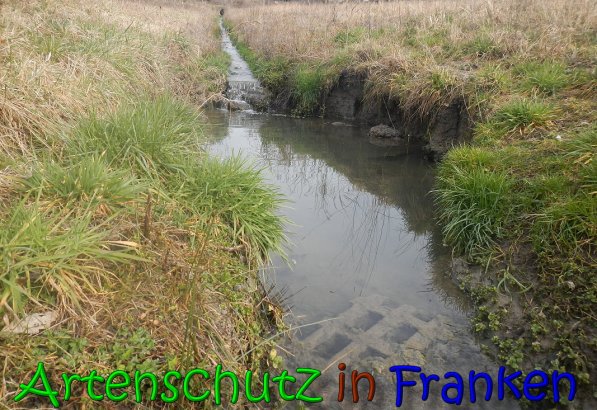 Copyright AiS Klaus Weidner Bild zum Eintrag (63816-160)