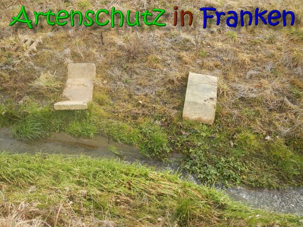 Copyright AiS Klaus Weidner Bild zum Eintrag (63817-160)