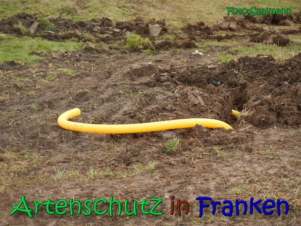 Copyright AiS Saalmann Bild zum Eintrag (64913-160)