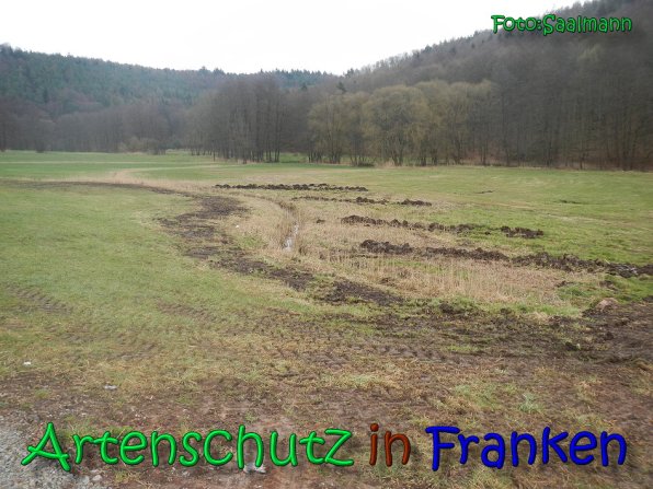 Copyright AiS Saalmann Bild zum Eintrag (64915-160)
