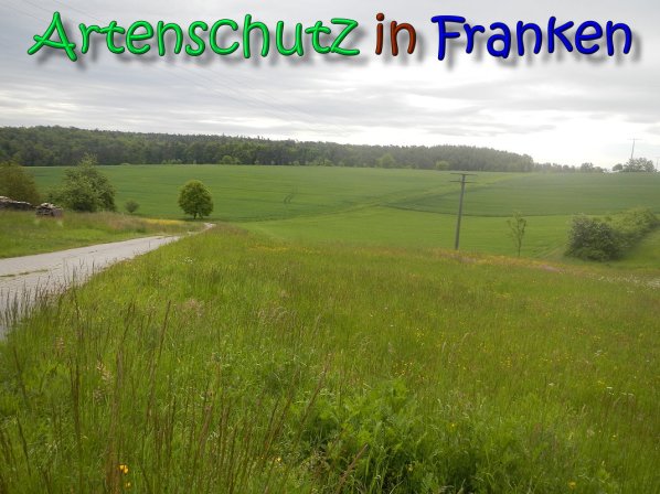 Copyright AiS Bild zum Eintrag (66353-160)