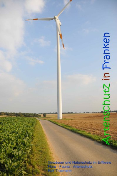 Copyright AiS Rolf Thiemann Bild zum Eintrag (69313-160)