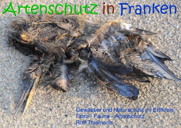 Copyright AiS Rolf Thiemann Bild zum Eintrag (69314-160)