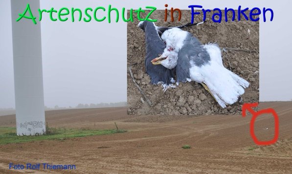 Copyright AiS Rolf Thiemann Bild zum Eintrag (70040-160)