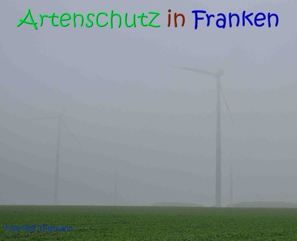 Copyright AiS Rolf Thiemann Bild zum Eintrag (70041-160)