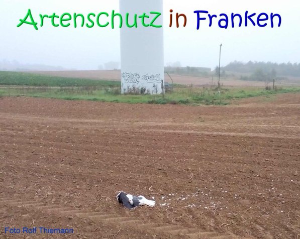 Copyright AiS Rolf Thiemann Bild zum Eintrag (70043-160)