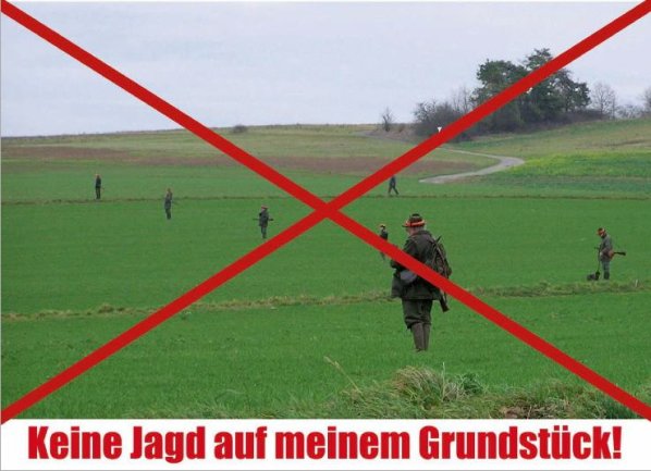 Copyright AiF Initiative zur Abschaffung der Jagd Bild zum Eintrag (71731-160)