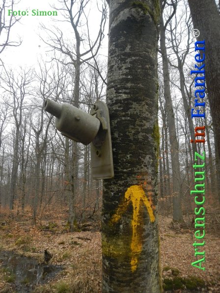 Copyright AiF Simon Bild zum Eintrag (72989-160)