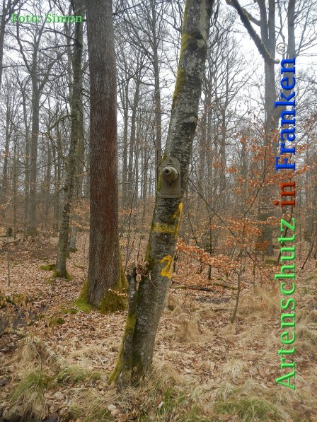 Copyright AiF Simon Bild zum Eintrag (72990-160)