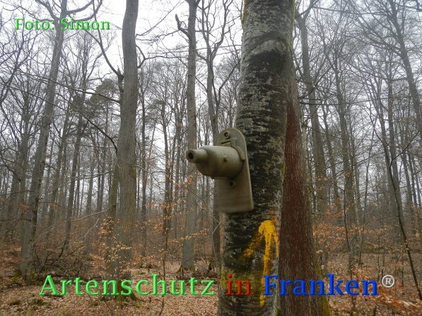 Copyright AiF Simon Bild zum Eintrag (72991-160)
