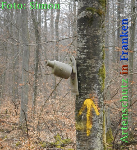Copyright AiF Simon Bild zum Eintrag (72992-160)