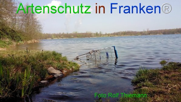 Copyright AiF Rolf Thiemann Bild zum Eintrag (73832-160)