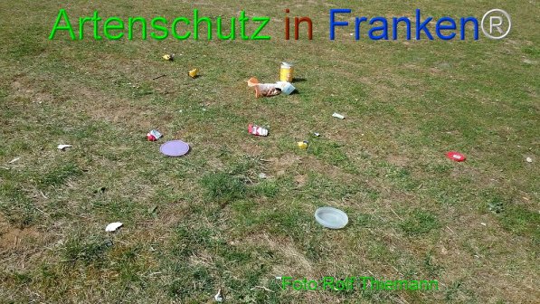 Copyright AiF Rolf Thiemann Bild zum Eintrag (73834-160)