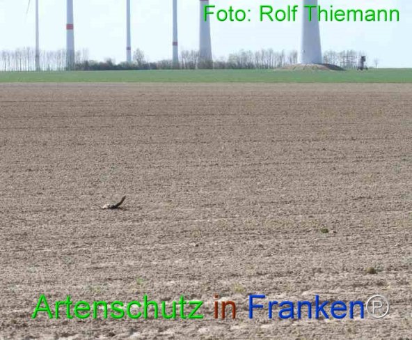Copyright AiF Rolf Thiemann Bild zum Eintrag (73867-160)