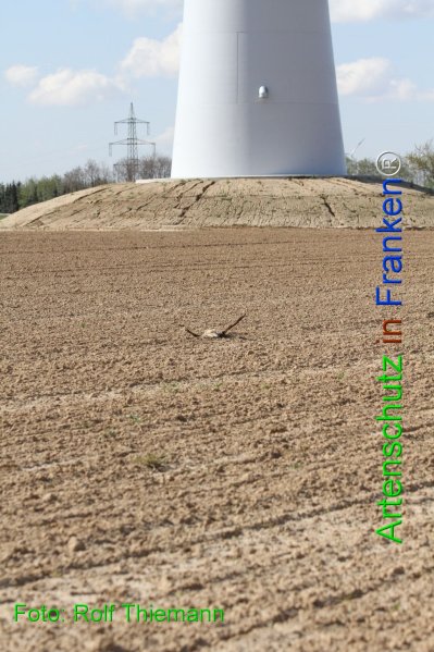 Copyright AiF Rolf Thiemann Bild zum Eintrag (73868-160)
