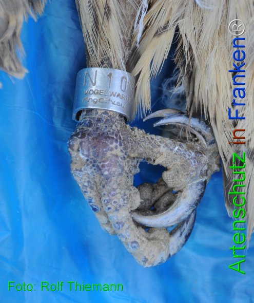 Copyright AiF Rolf Thiemann Bild zum Eintrag (73873-160)