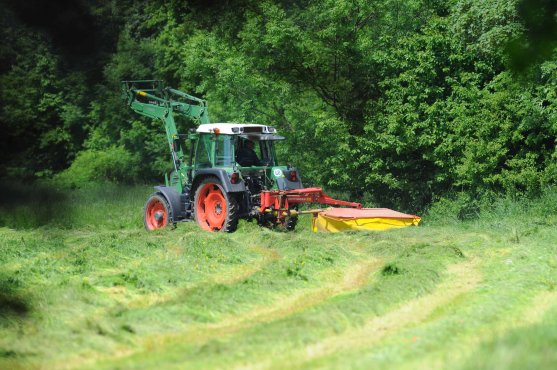 Copyright AiF Rolf Thiemann Bild zum Eintrag (74381-160)