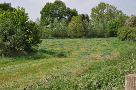 Copyright AiF Rolf Thiemann Bild zum Eintrag (74386-160)
