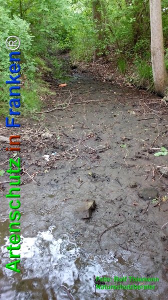 Copyright AiF Rolf Thiemann Bild zum Eintrag (74600-160)