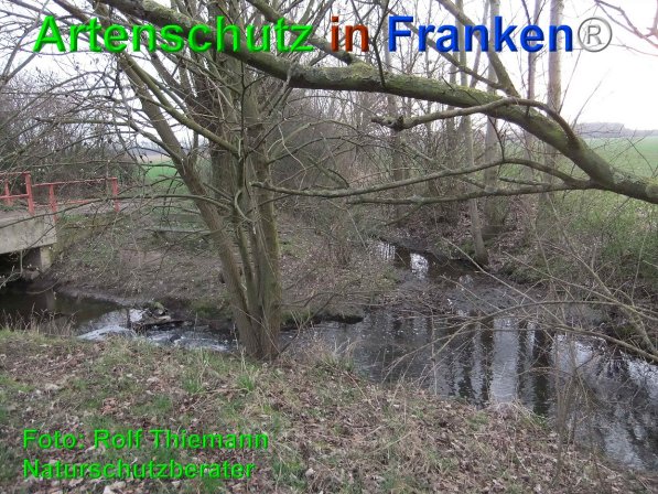 Copyright AiF Rolf Thiemann Bild zum Eintrag (74601-160)
