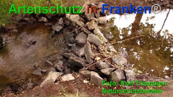 Copyright AiF Rolf Thiemann Bild zum Eintrag (74603-160)