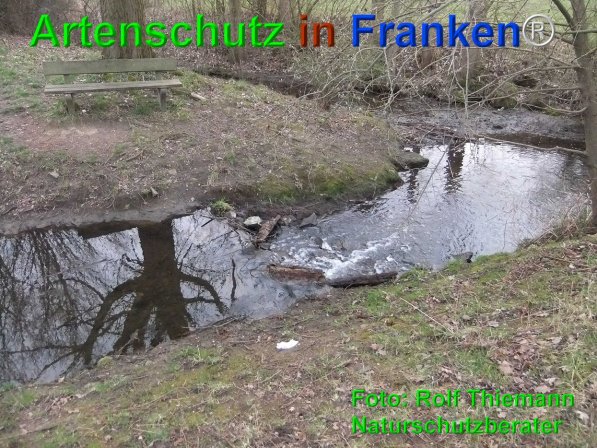 Copyright AiF Rolf Thiemann Bild zum Eintrag (74604-160)